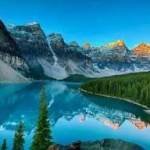 fan Qinlang Profile Picture